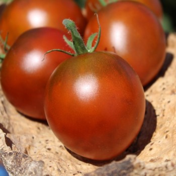 Tomate De Barao braun (freilandgeeignet) (Samen)