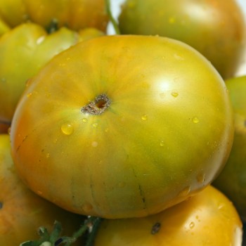 Tomate Emerald Apple (Samen)