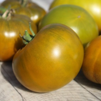 Tomate Emerald Apple (Samen)