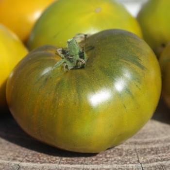 Tomate Emerald Apple (Samen)