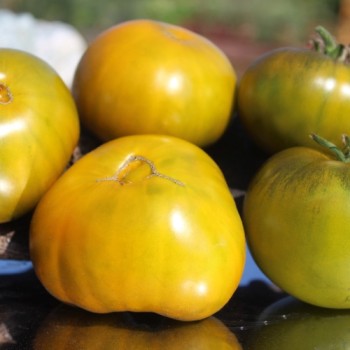 Tomate Emerald Apple (Samen)