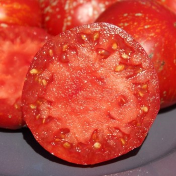 Tomate Feuerwerk (Samen)