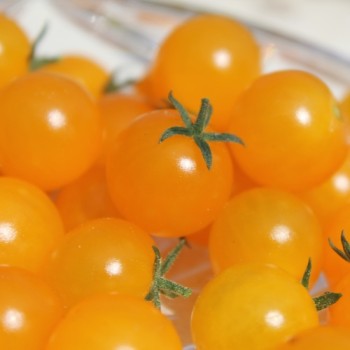 Wildtomate Gelbes Sternchen (Freilandsorte) (Samen)