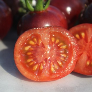 Tomate Glossy Rose Blue (Samen)