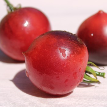 Tomate Soeur des Coeurs (H34 Rose) (Samen)