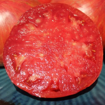 Tomate Jazz (Samen)