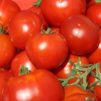 Tomate Librazhd Albanien (Samen)