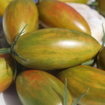 Tomate Lucky Tiger (Buschtomate) (Samen)