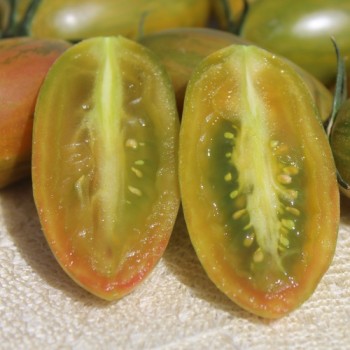 Tomate Lucky Tiger (Buschtomate) (Samen)