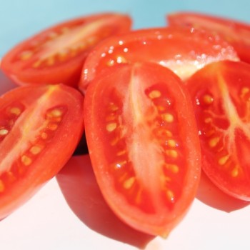 Tomate Maglia Rosa (Buschtomate) (Samen)