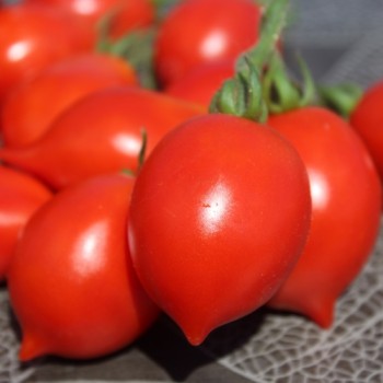 Tomate Piennolo del Vesuvio (Lagertomate) (Samen)