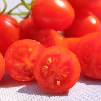 - Kopie - Kopie - Kopie - Kopie - Kopie