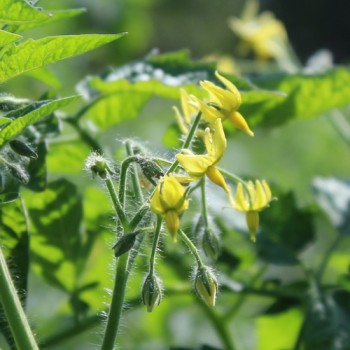 - Kopie - Kopie - Kopie - Kopie - Kopie