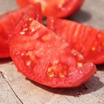 Tomate Silbertanne (Buschtomate) (Samen)