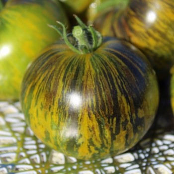 Neu! Tomate Xanadu Green Goddess (Samen)