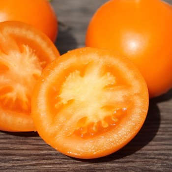 Tomate Zloty Ozarowski (freilandgeeignet) (Samen)