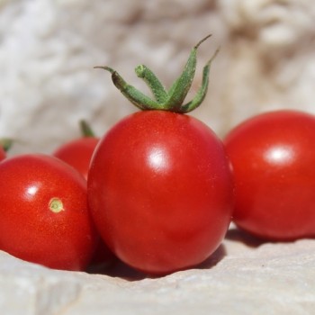 Neu! Tomate Zuckerino Lukas (Multiflora) (Samen)