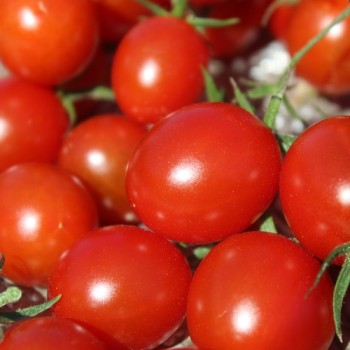 Neu! Tomate Zuckerino Lukas (Multiflora) (Samen)