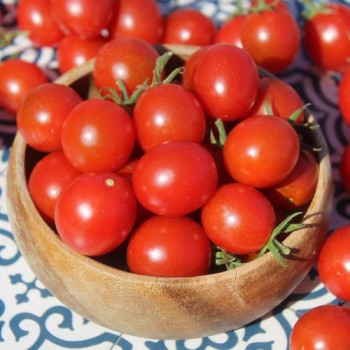 Neu! Tomate Zuckerino Lukas (Multiflora) (Samen)