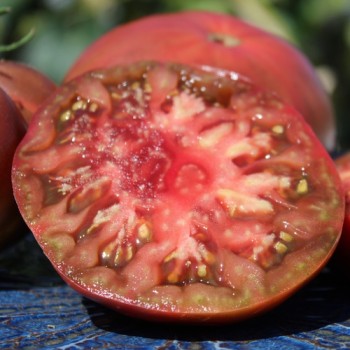 Tomate Black Krim