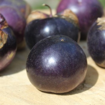 Tomatillo Deep Purple (Samen)