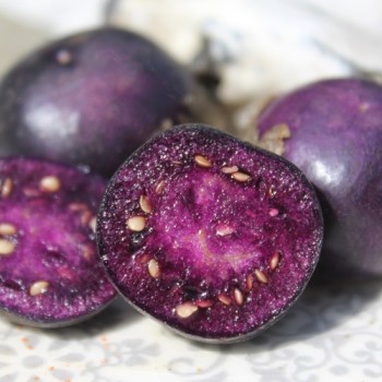 Tomatillo Deep Purple (Samen)
