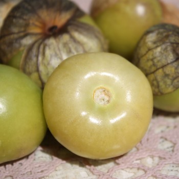 Tomatillo Marmeladny (Samen)