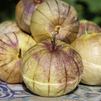 Tomatillo Mexican Husk (Samen)
