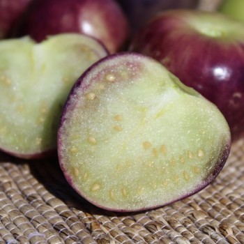 Tomatillo Mexican Husk (Samen)