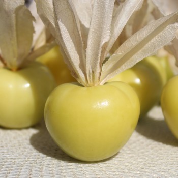 Tomatillo Mramorii (Samen)