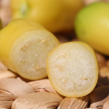 Tomatillo Queen of Malinalco (Samen)