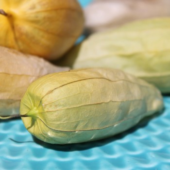 Tomatillo Queen of Malinalco (Samen)