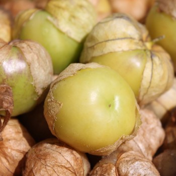 Tomatillo Toma Verde (Samen)