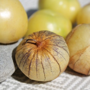 Tomatillo Toma Verde (Samen)