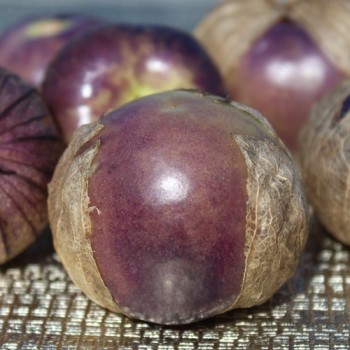 Tomatillo Vallisto (Samen)