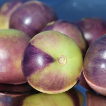Tomatillo Vallisto (Samen)