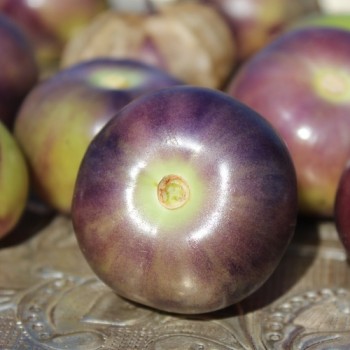 Tomatillo Vallisto (Samen)