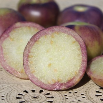 Tomatillo Vallisto (Samen)