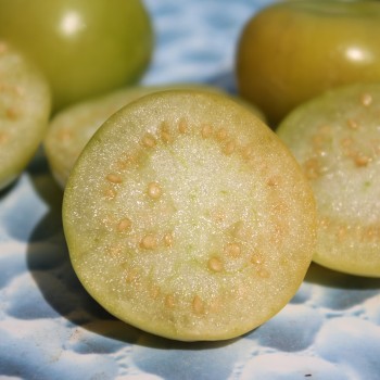 Tomatillo Zuni (Samen)