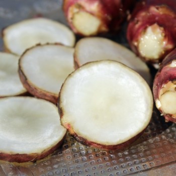 Neu! Topinambur Waldspindel (Pflanze)