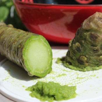Wasabi (Pflanze)