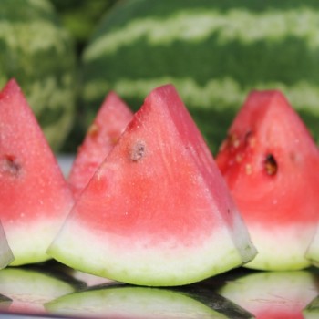 Wassermelone Cal Sweet (Samen)