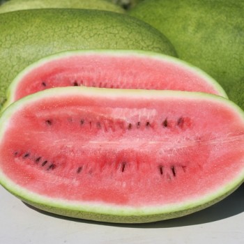 Wassermelone Charleston Gray (Samen)