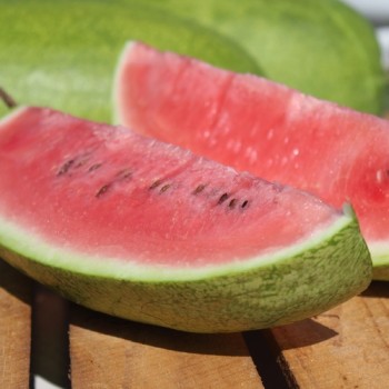 Wassermelone Charleston Gray (Samen)