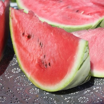 Wassermelone Chris Cross (Samen)