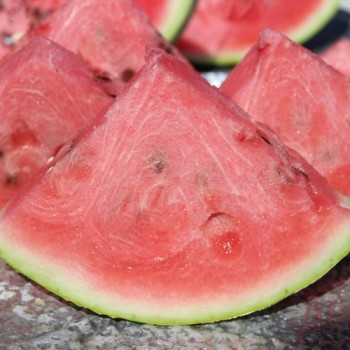 Wassermelone Chris Cross (Samen)