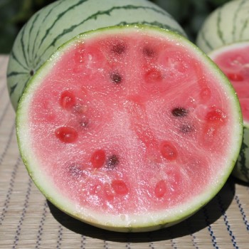 Wassermelone Chris Cross (Samen)