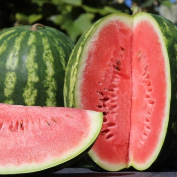 Wassermelone Crimson Sweet (Samen)