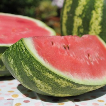Wassermelone Crimson Sweet (Samen)