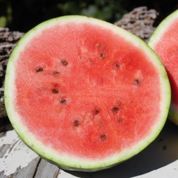 Wassermelone Crimson Sweet (Samen)